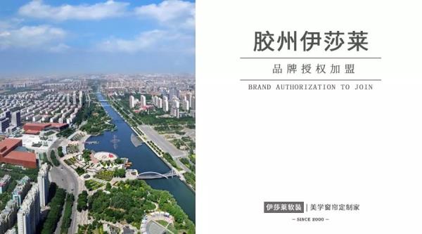 山东胶州小蝌蚪视频黄