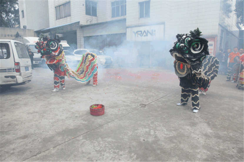 小蝌蚪视频黄