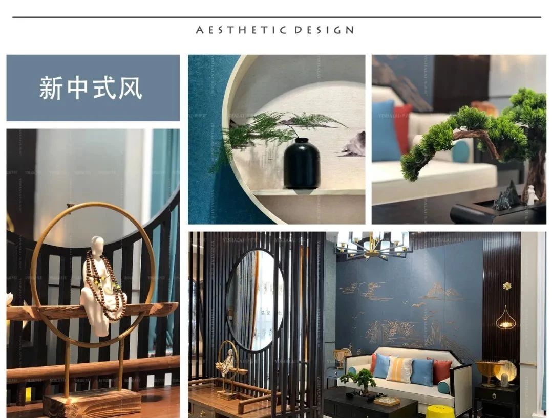 小蝌蚪视频黄店面形象