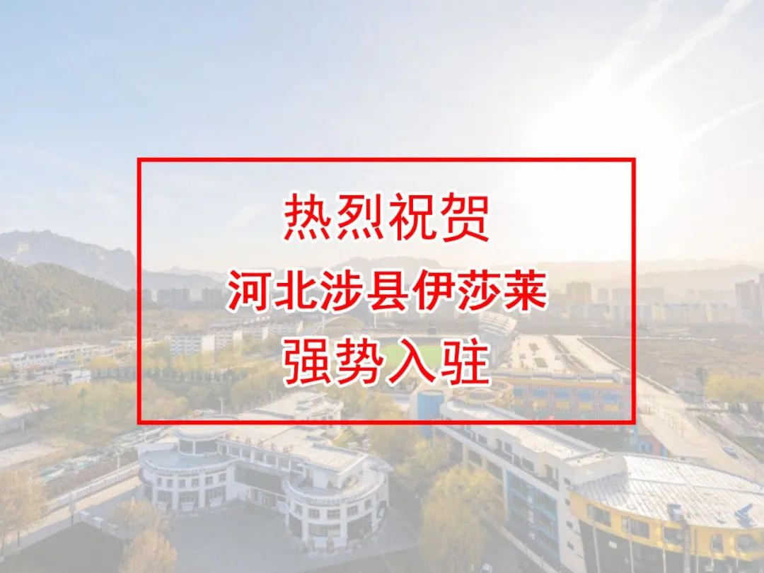 河北窗帘加盟-河北邯郸涉县小蝌蚪视频黄窗帘专卖店