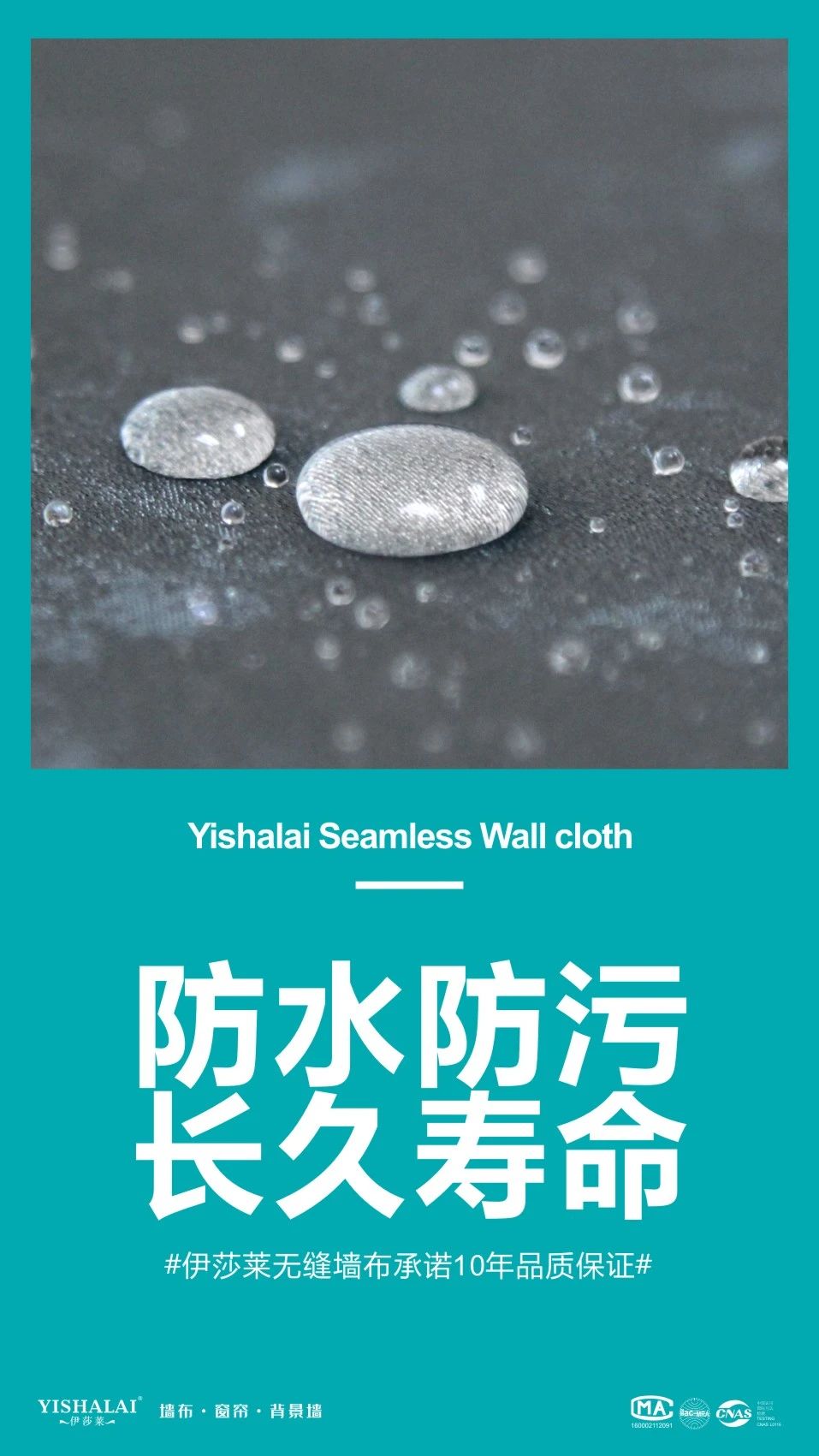 小蝌蚪视频黄墙布